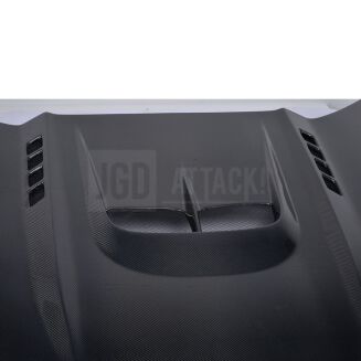 Maska z Włókna Węglowego – Carbon (MUSTANG 15-17 GT, V6, Ecoboost) - 15