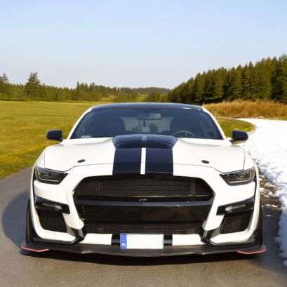 GT500 Style Front Bumper - Unpainted (MUSTANG 15-17 EcoBoost, V6, GT)