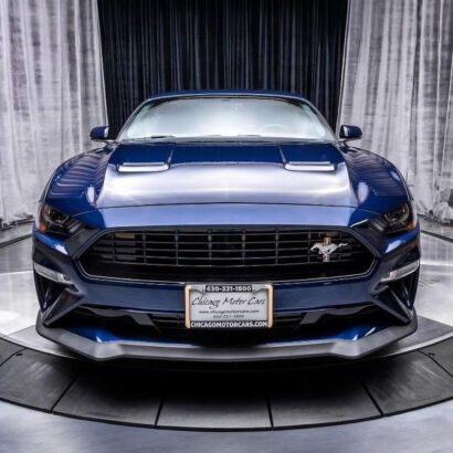 Upper Grille - California Special (MUSTANG 18-23 GT, EcoBoost)