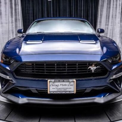 CALIFORNIA SPECIAL Upper Grille (MUSTANG 18-22 GT, EcoBoost)