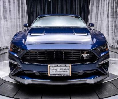 CALIFORNIA SPECIAL Upper Grille (MUSTANG 18-22 GT, EcoBoost)