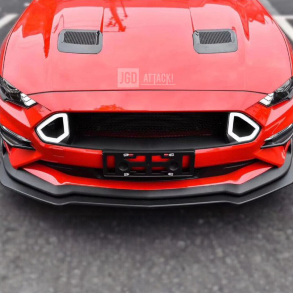 Grill Atrapa LED - RTR Style (MUSTANG 18-23 GT, EcoBoost)