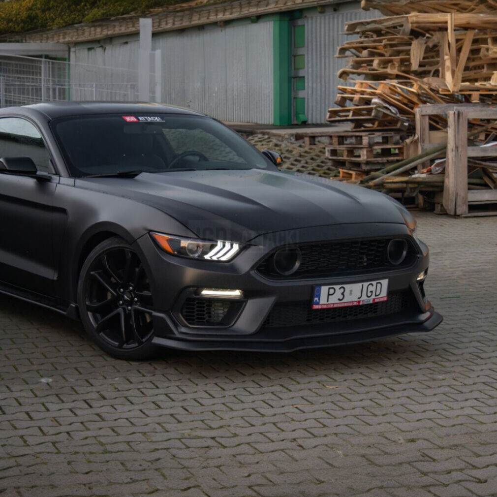 Aluminum Hood - OE style (MUSTANG 15-17 GT, Ecoboost, V6)