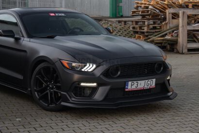 Maska Aluminiowa - styl OE (MUSTANG 15-17 GT, EcoBoost, V6)