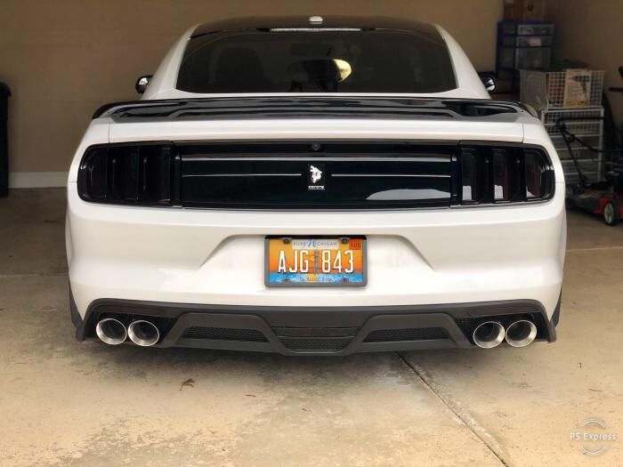 Rear Diffuser - GT350 Style - Quad Hole (MUSTANG 15-17 GT Premium, EcoBoost Premium)